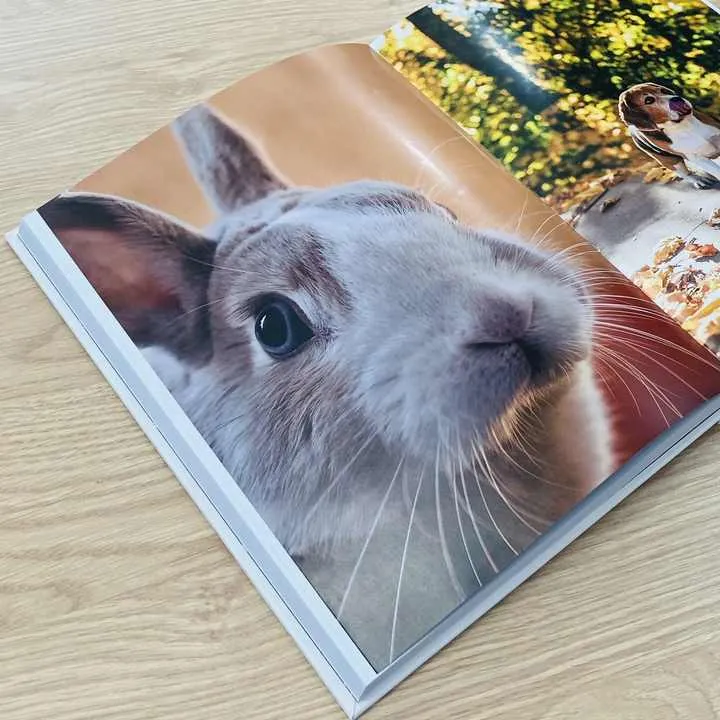 كتاب غلاف مقوى مخصص، كتاب قصص، ألبوم صور، رواية، كتاب مزخرف Customized Hardcover Book Storybook Photo Album Novel Decoration Book
