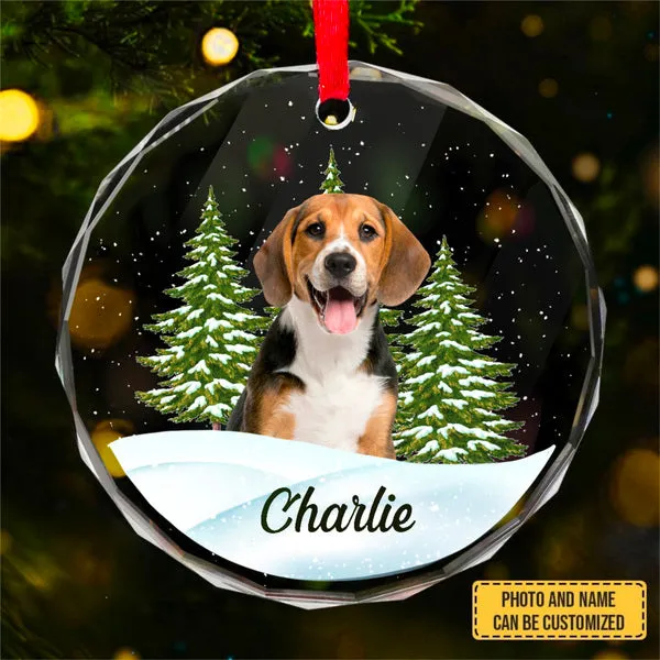Custom Photo Pet Face - Christmas Gift For Dog Lovers, Cat Lovers, Pet Lovers, Pet Memorial - Personalized Circle Glass Ornament
